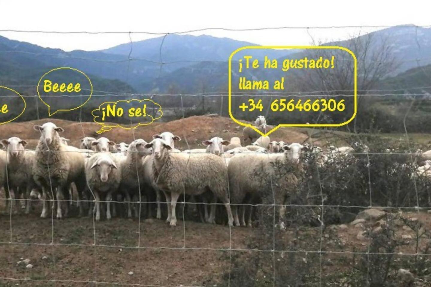 Duplex La Valle Ordesaainsa 拉斯普纳 外观 照片